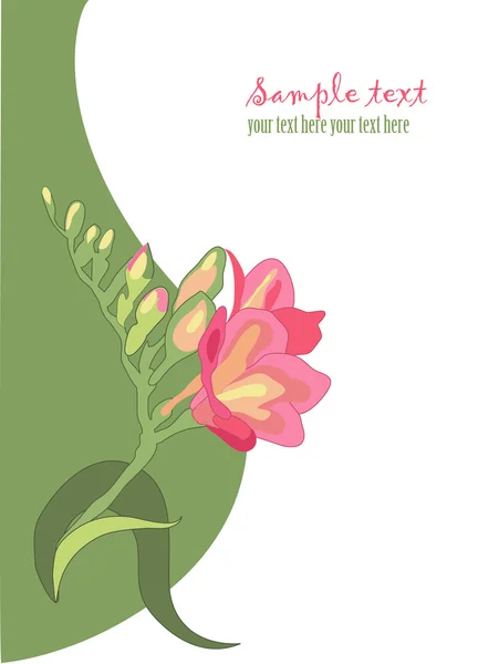 봄 꽃, freesia 2 — 스톡 벡터