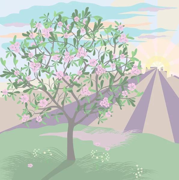 Manzano-árbol1 — Archivo Imágenes Vectoriales