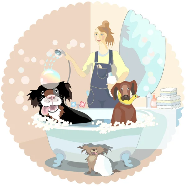 Hond wassen — Stockvector