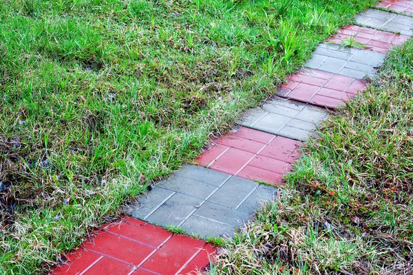 stock image Slippery path