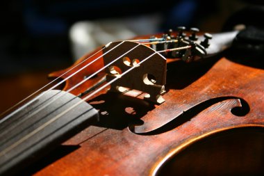 Violin macro clipart