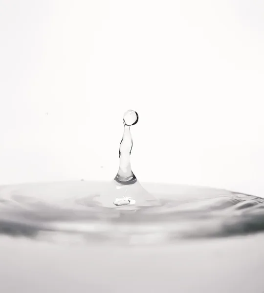 Waterdruppel — Stockfoto