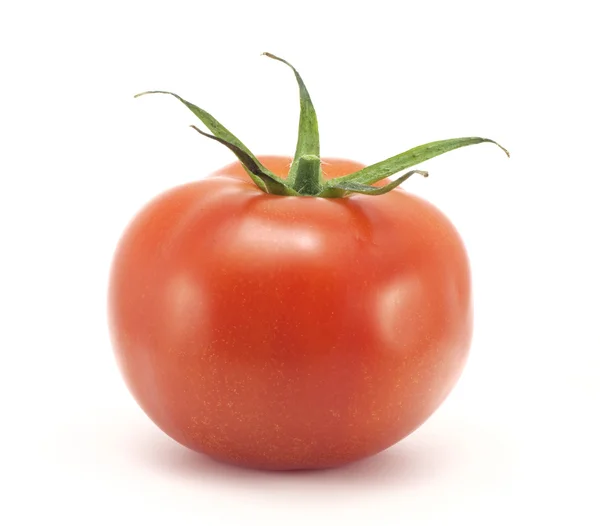 Червоний томатний — стокове фото