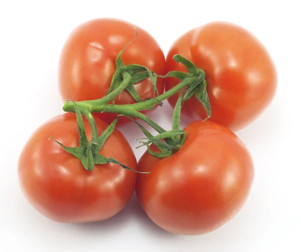 Κόκκινη ντομάτα — Φωτογραφία Αρχείου