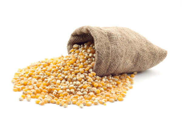 Small bag of corn