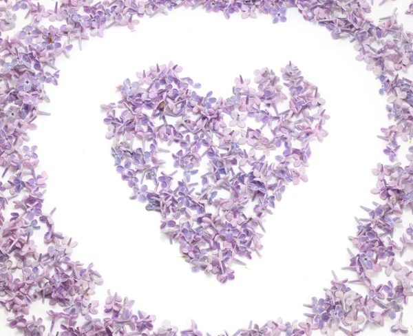 Серце з квітами бузку — стокове фото