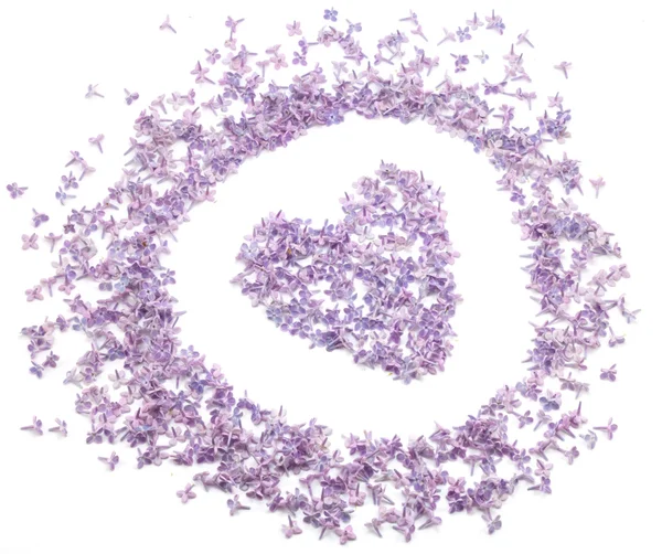 Corazón con flores de lila —  Fotos de Stock