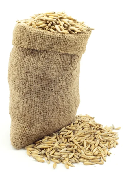 麦の袋 — ストック写真