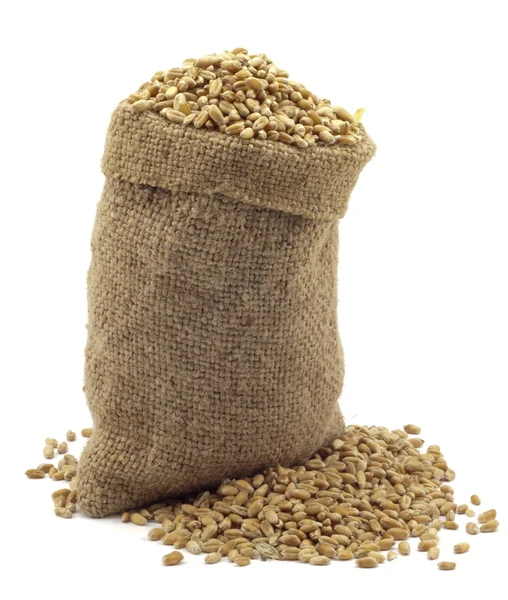 Bolsa de trigo —  Fotos de Stock