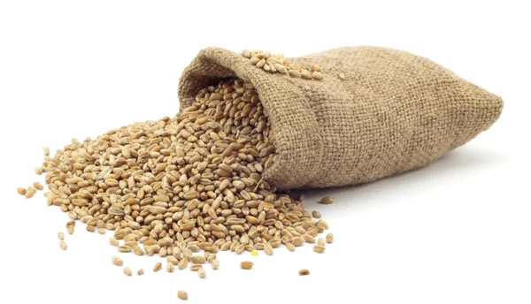 Bag of wheat — Stock Photo, Image