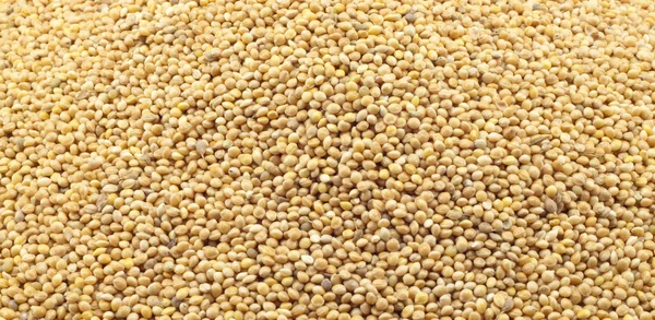 stock image Texture of millet