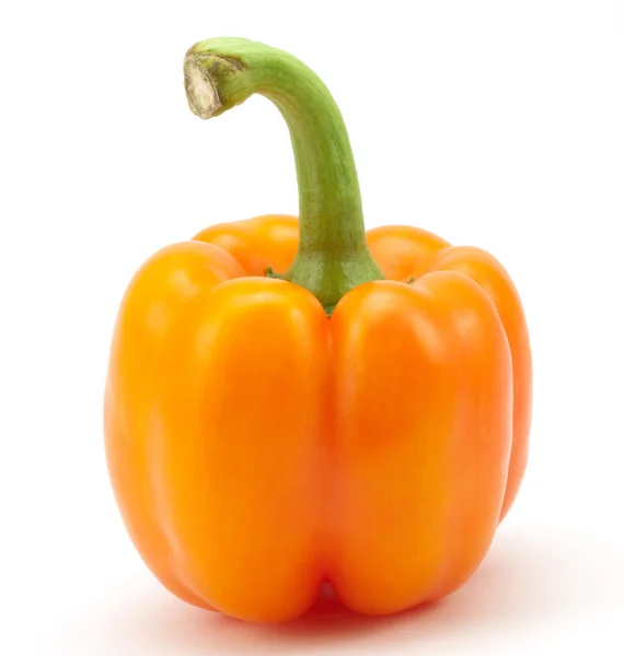 Fresh orange paprika — Stock Photo, Image