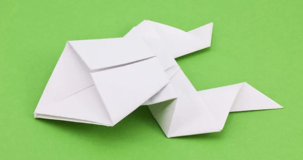 Frog out of paper — Stock Photo, Image