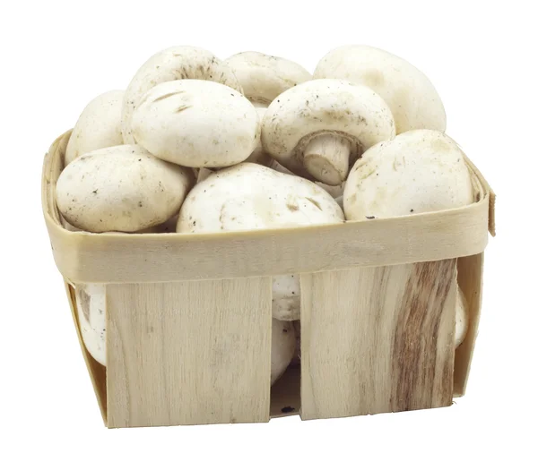 Cogumelos em uma caixa de madeira — Fotografia de Stock