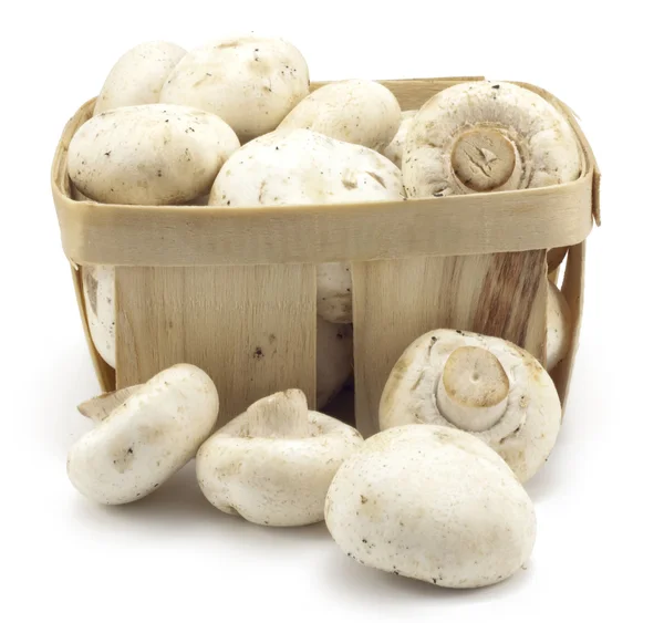 Cogumelos em uma caixa de madeira — Fotografia de Stock