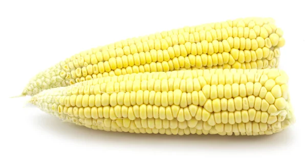 Rijp maïs — Stockfoto