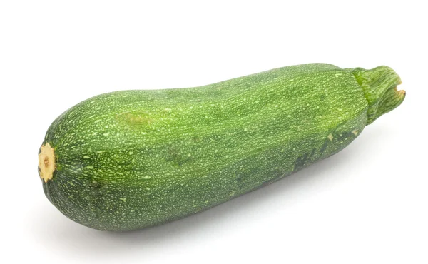 Ripe squash zucchini — Stock Photo, Image