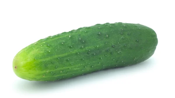Pepino maduro —  Fotos de Stock
