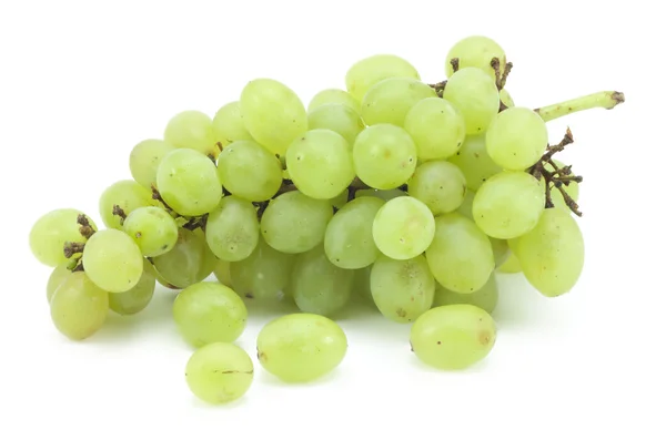Tak van groene druiven — Stockfoto
