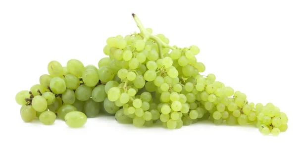 Zöld szőlő ága — Stock Fotó