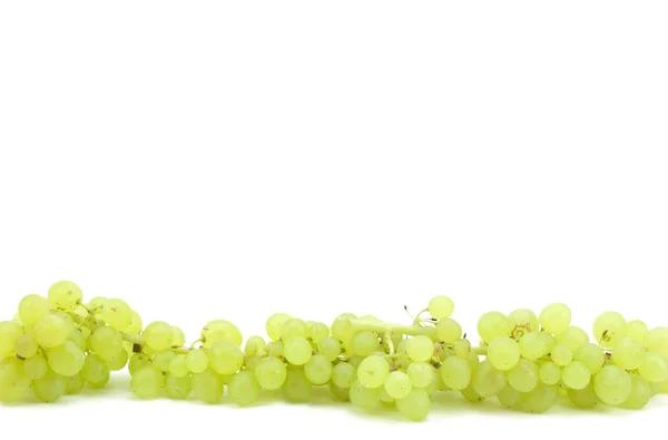 Tak van groene druiven — Stockfoto