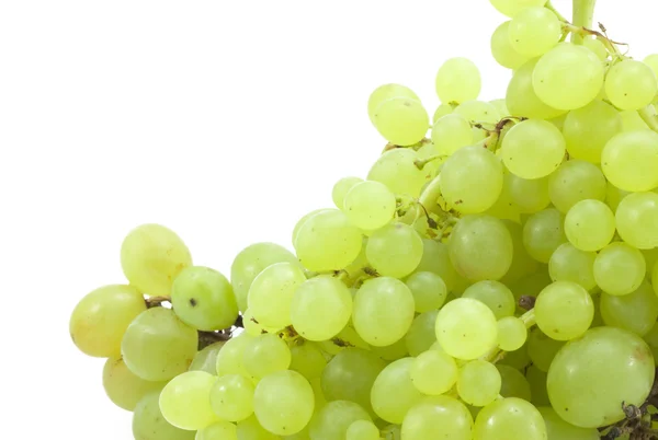 Oddział zielonych winogron — Zdjęcie stockowe