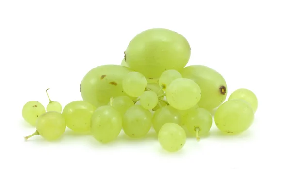 Branch of green grapes — Stock Photo, Image