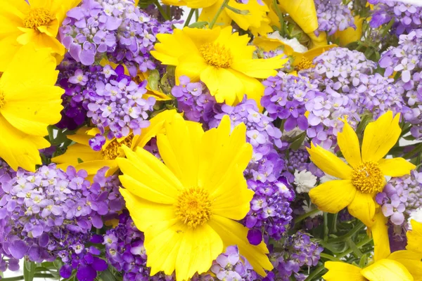 Hintergrund aus einem Strauß wilder Blumen — Stockfoto