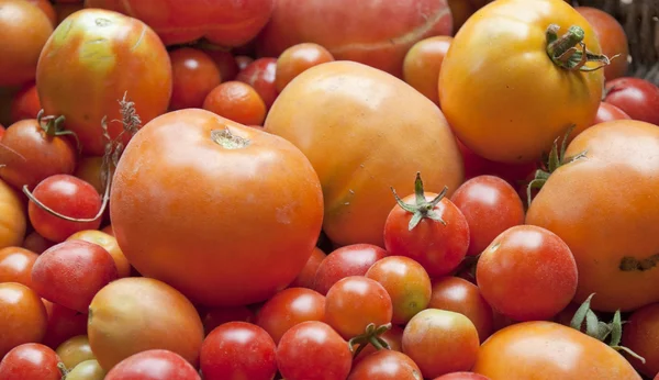 Tekstury z pomidorami — Zdjęcie stockowe