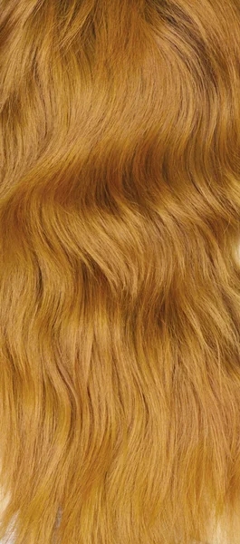 Textura. ženské zrzavé vlasy — Stock fotografie