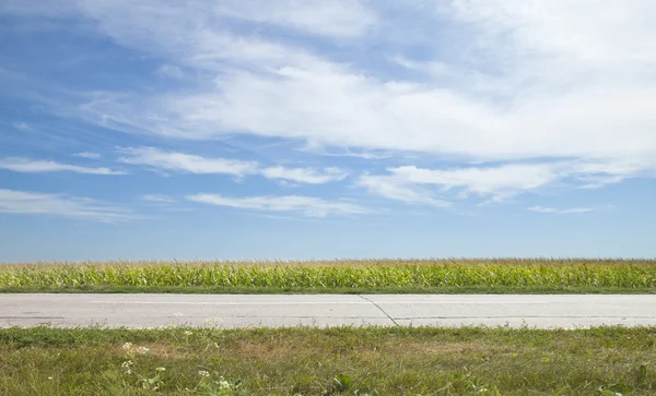 The road, field — Stock Photo, Image