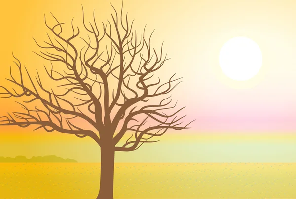A tree in autumn at sunset. — Stock Vector