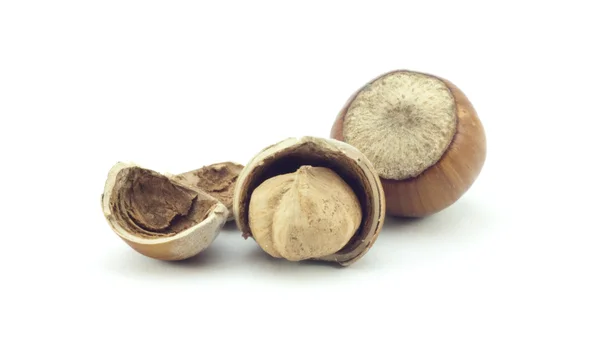 Natural hazelnuts — Stock Photo, Image