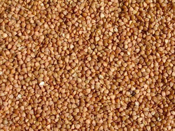 Buckwheat groats. — Stock Photo, Image