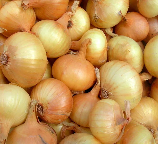 Onions. — Stock Photo, Image