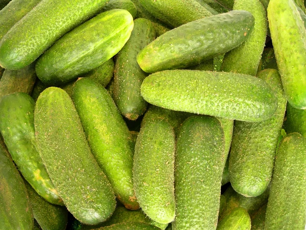 Cucumbers as the background. — Stock Photo, Image