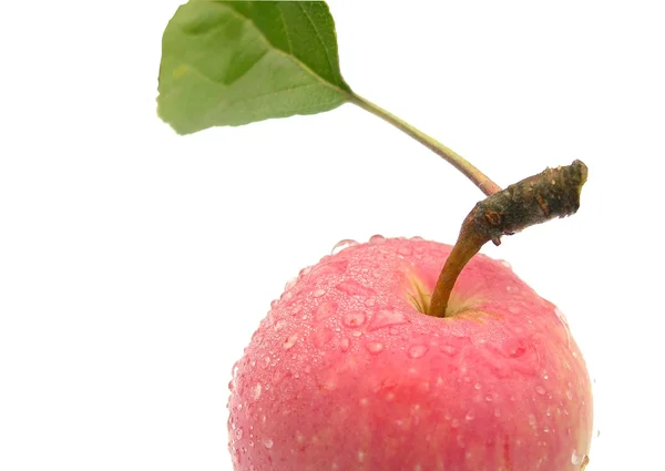 Una mela con una foglia . — Foto Stock
