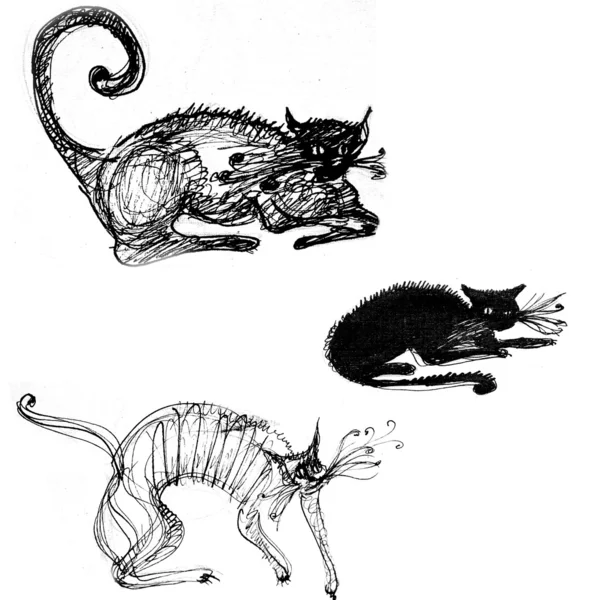 Ilustrowany kotów — Zdjęcie stockowe