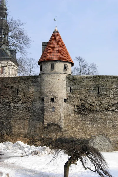 Věže a hradby — Stock fotografie