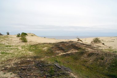 Dunes