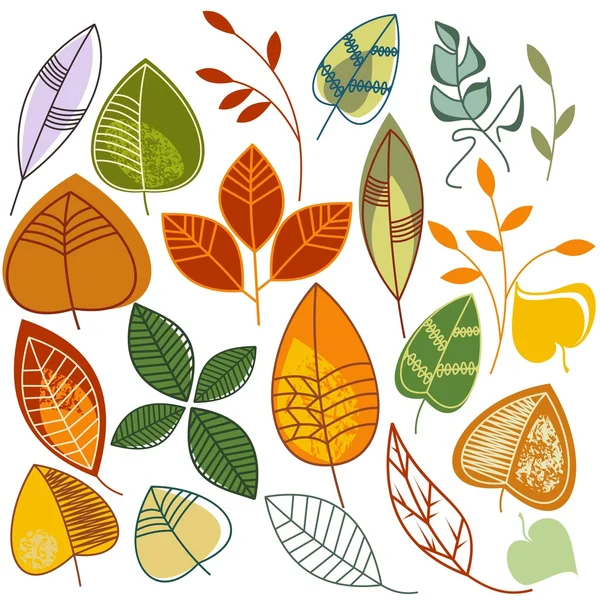Herbstblätter gesetzt — Stockvektor