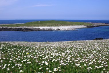 Machair in Uist, Western Isles, UK clipart