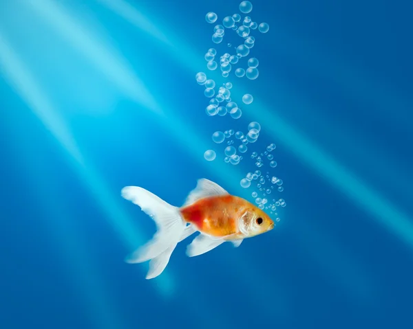 Peixe dourado em aquário com bolhas de água e raios de luz — Fotografia de Stock