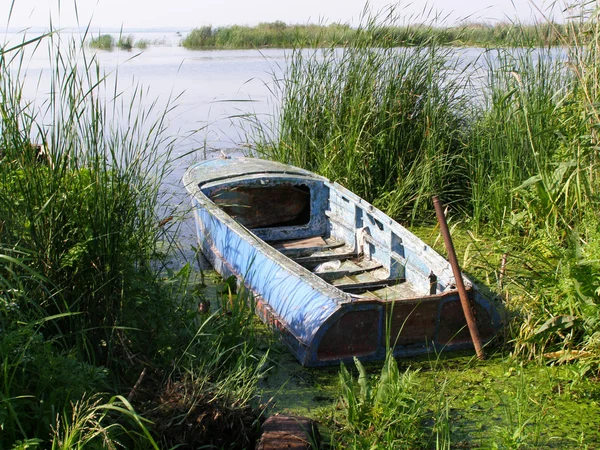 Pleshcheyevo Lake Stockfoto