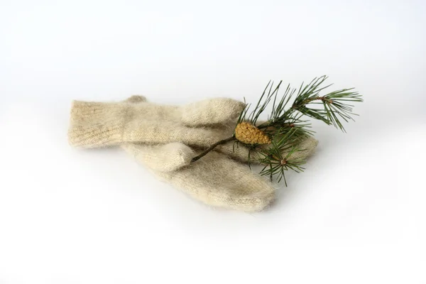 Mittens of dog wool with pine branch — Stock Photo, Image