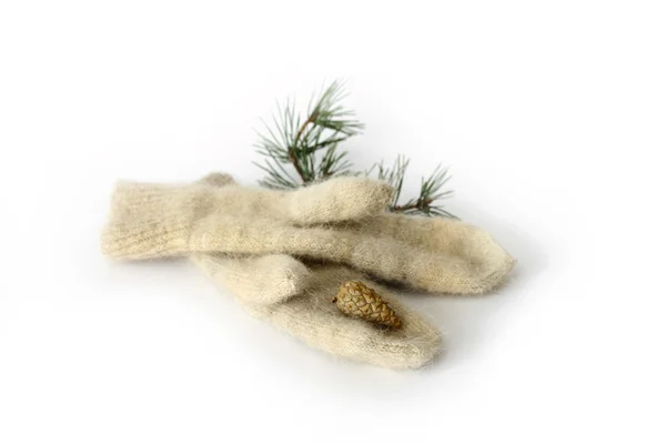 stock image Mittens of dog wool with pine branch