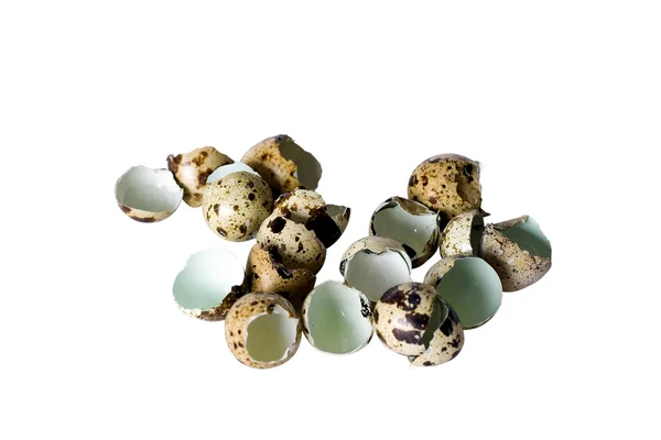 Shell of quail eggs on white background — Stock Photo, Image