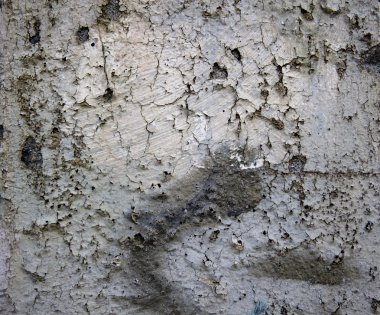 Texture: decay 3 clipart