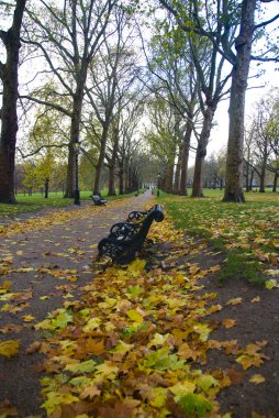 Hyde Park: London clipart