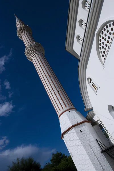 stock image Mosque in Turkey 1